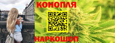 амф Новозыбков
