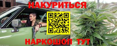 амф Новозыбков
