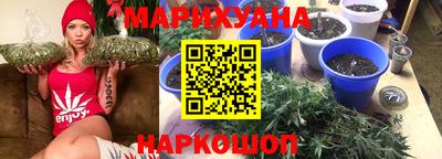 амф Новозыбков