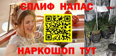 винт Новокубанск