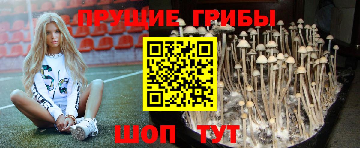 Галлюциногенные грибы MAGIC MUSHROOMS  Вход с VPN  Туапсе 